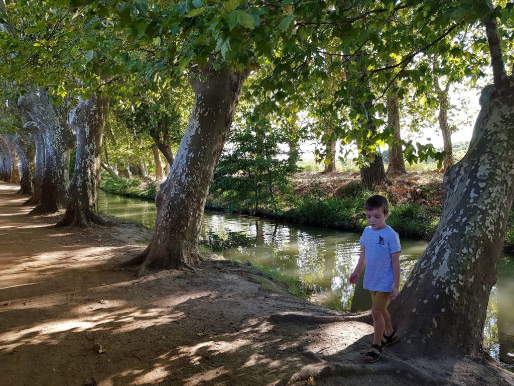 L'île de la Cité