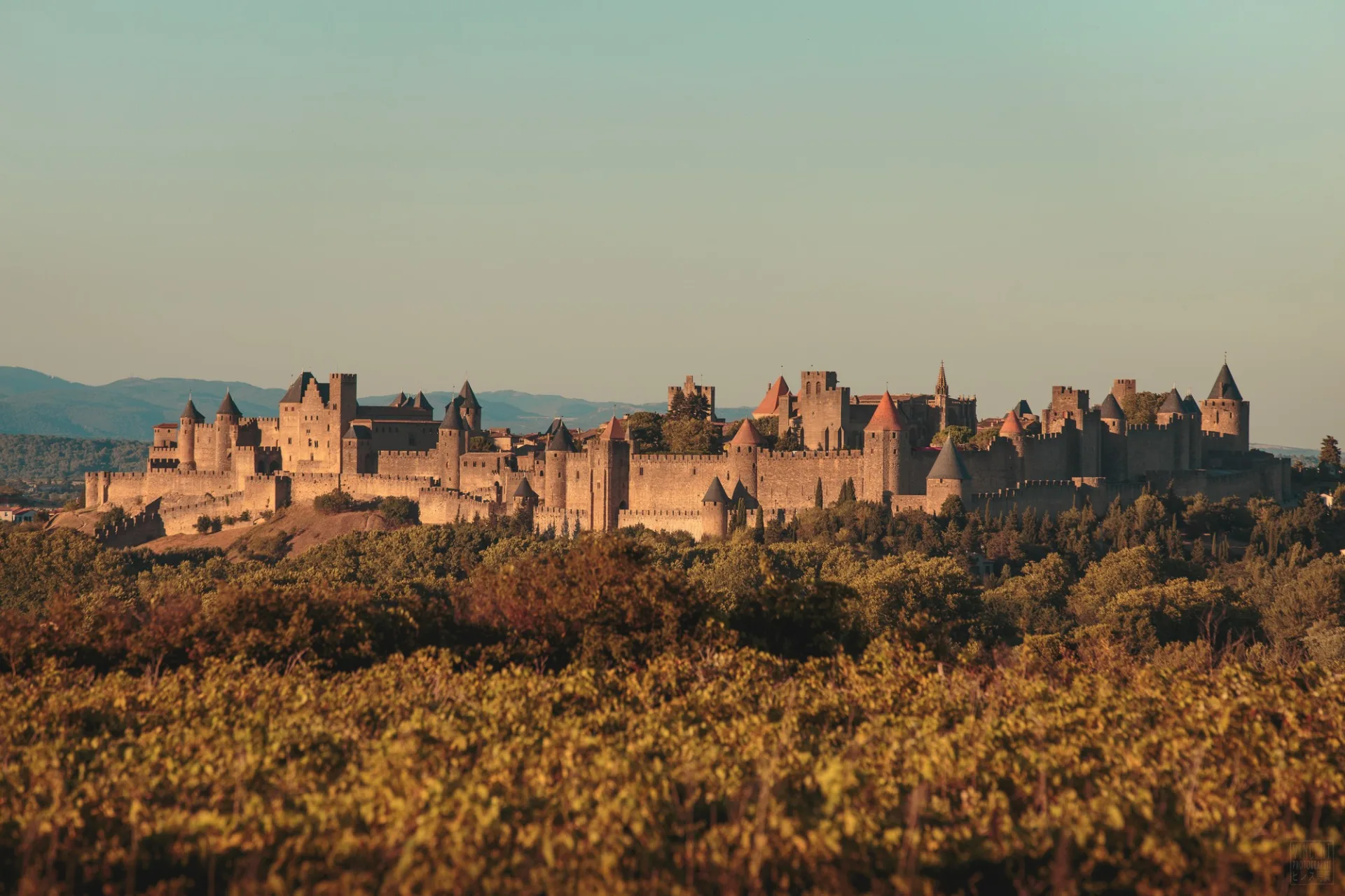 CHÂTEAU MALVES-BOUSQUET