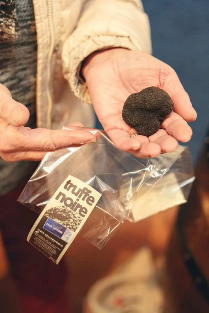 Gros sel à la Truffe Noire - Produits truffés Pays Cathare - Maison de la  truffe d'Occitanie