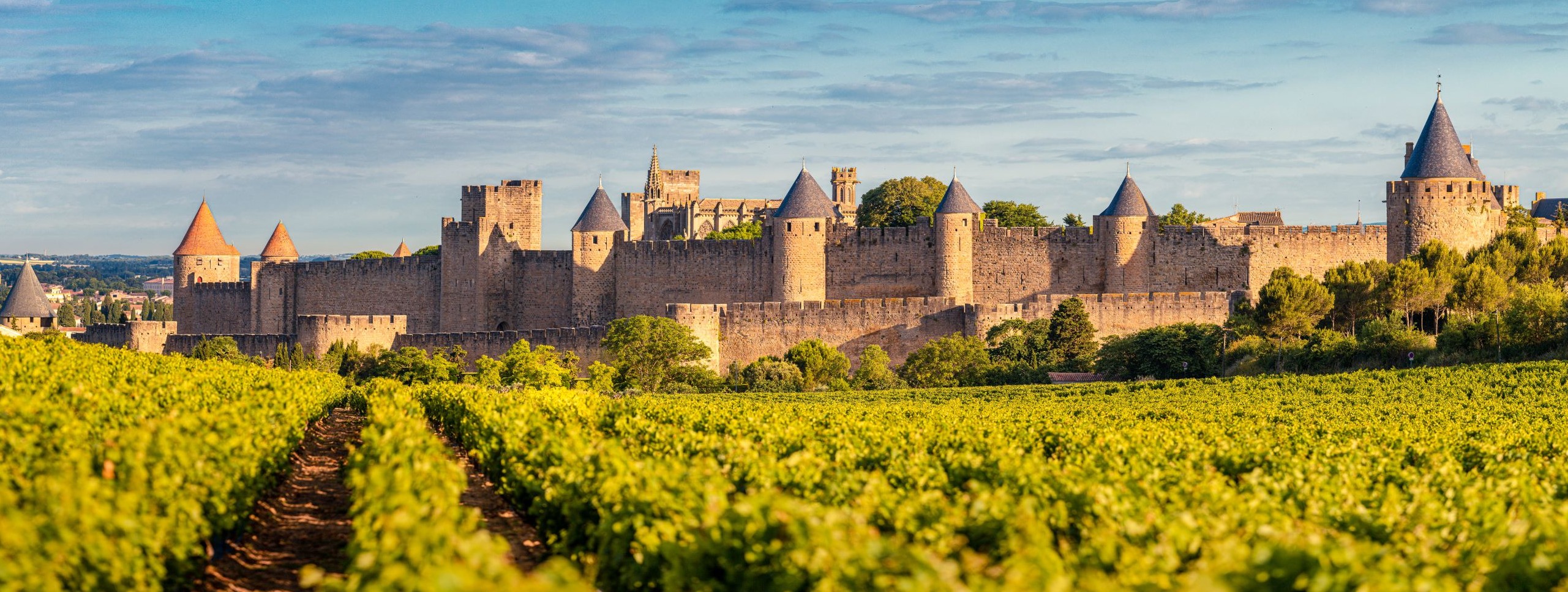 D'où voir la Cité : les points de vue : Grand Carcassonne