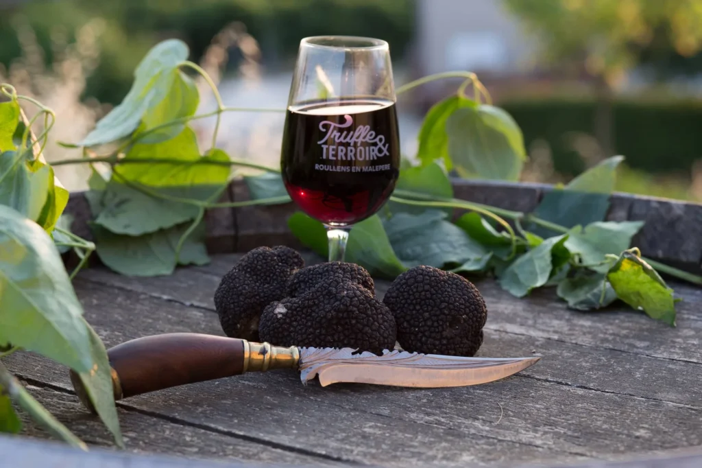 Marchés au truffes dans l’Aude