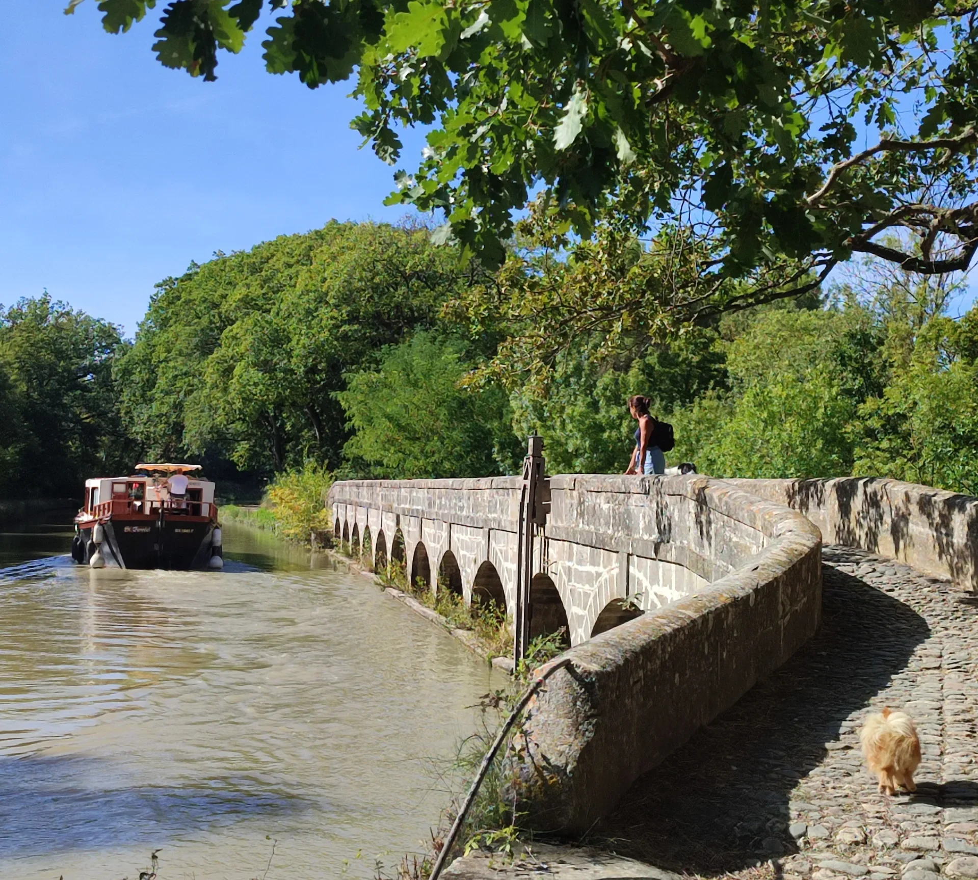 randonnées autour de carcassonne