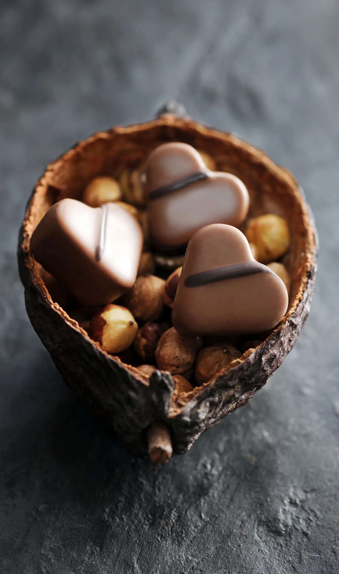 savoir faire chocolat visite carcassonne