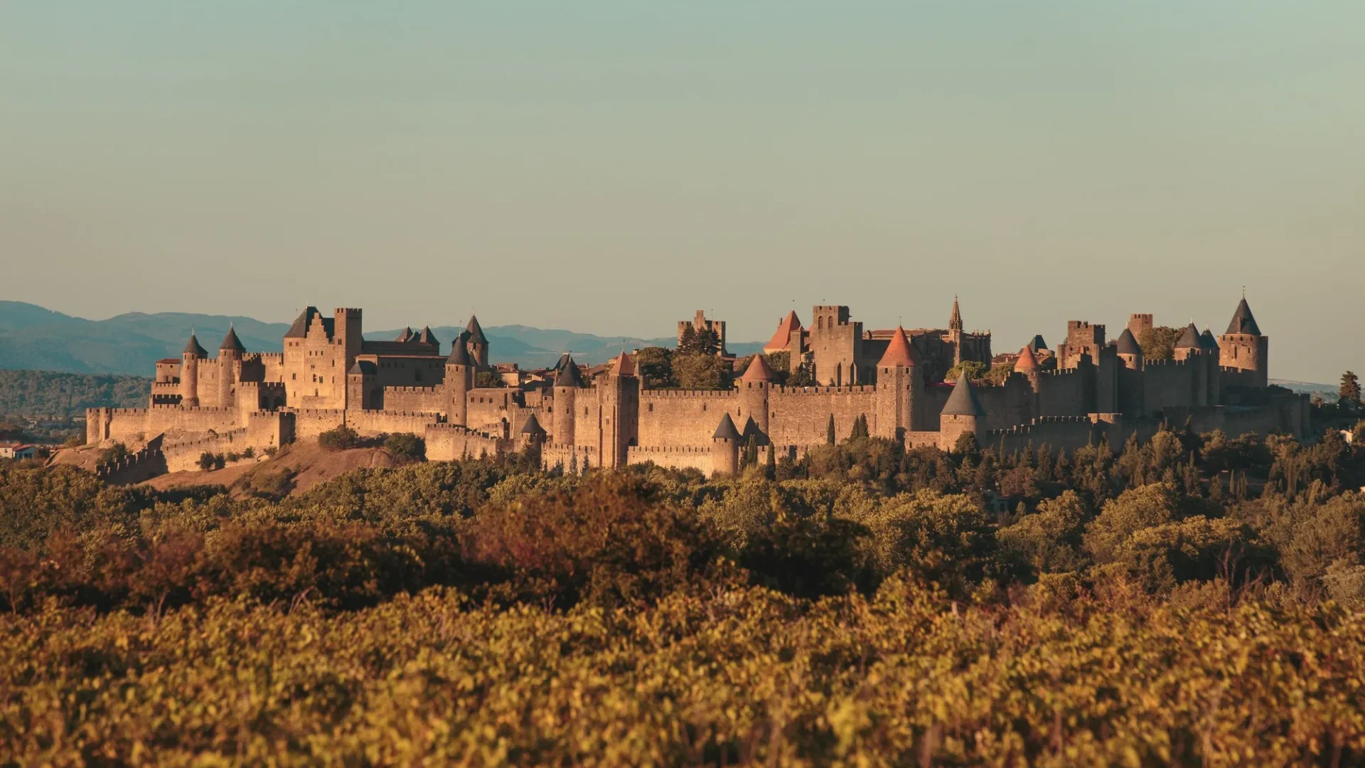 La cité de Carcassonne vue de loin, automne
