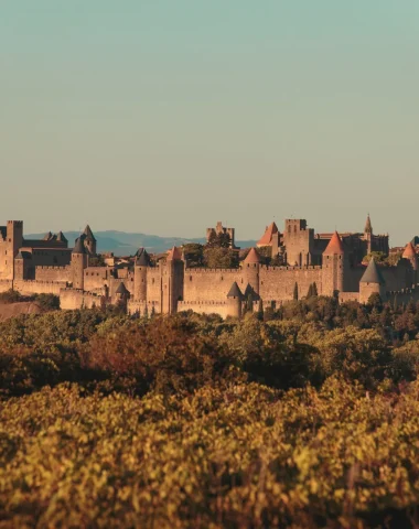 La cité de Carcassonne vue de loin, automne