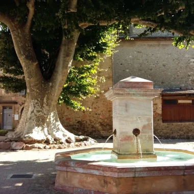 place-republique-caunes-minervois-platanes-fontaine