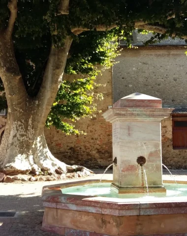 place-republique-caunes-minervois-platanes-fontaine