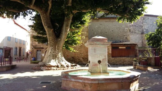 place-republique-caunes-minervois-platanes-fontaine