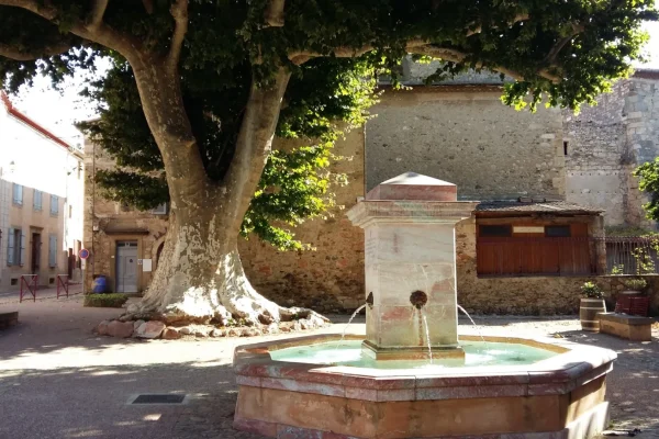 place-republique-caunes-minervois-platanes-fontaine