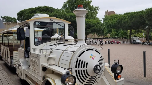 petit train , navette carcassonne