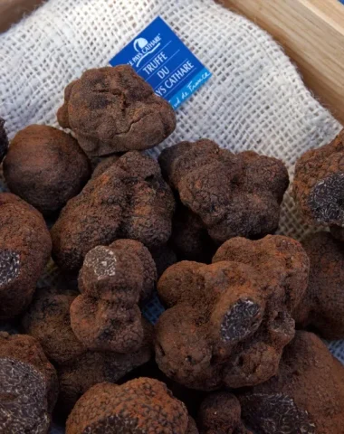 Marchés au truffes dans l’Aude