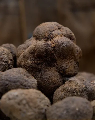 Marchés au truffes dans l’Aude