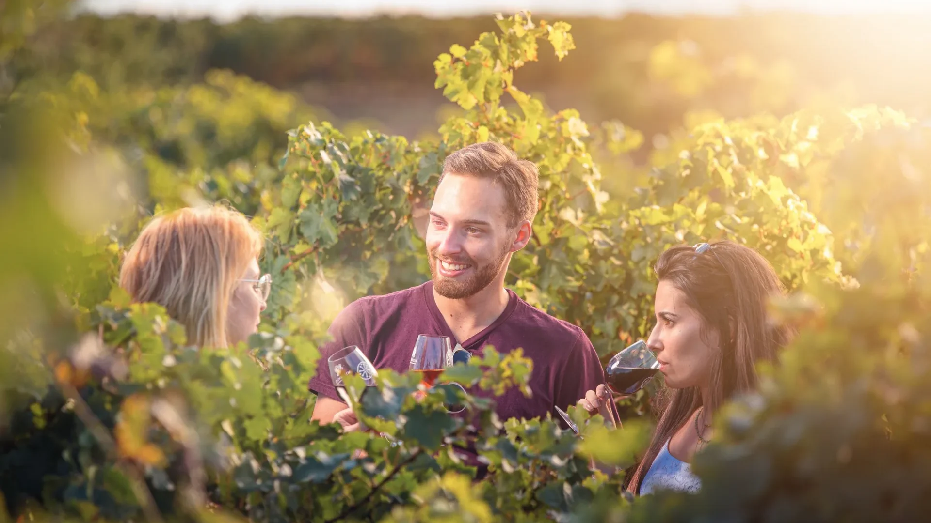 Grands Vins en Grand Carcassonne