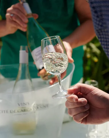 Dégustation de vin