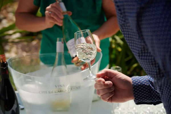 Dégustation de vin