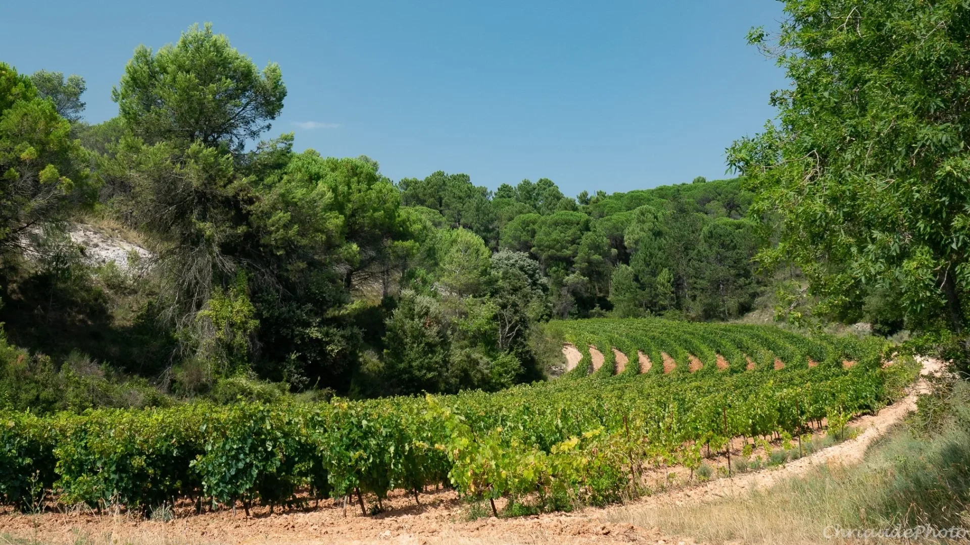 paysage cabardes aragon