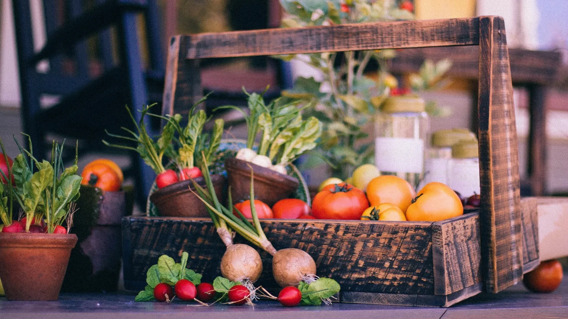 panier-legumes-producteurs-autour-carcassonne