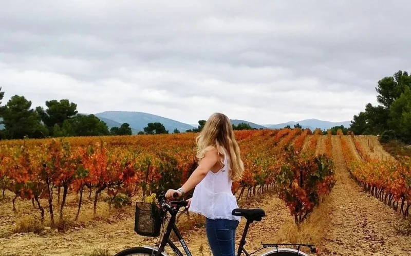 Balades à vélo ou VTT