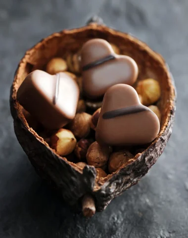 savoir faire chocolat visite carcassonne