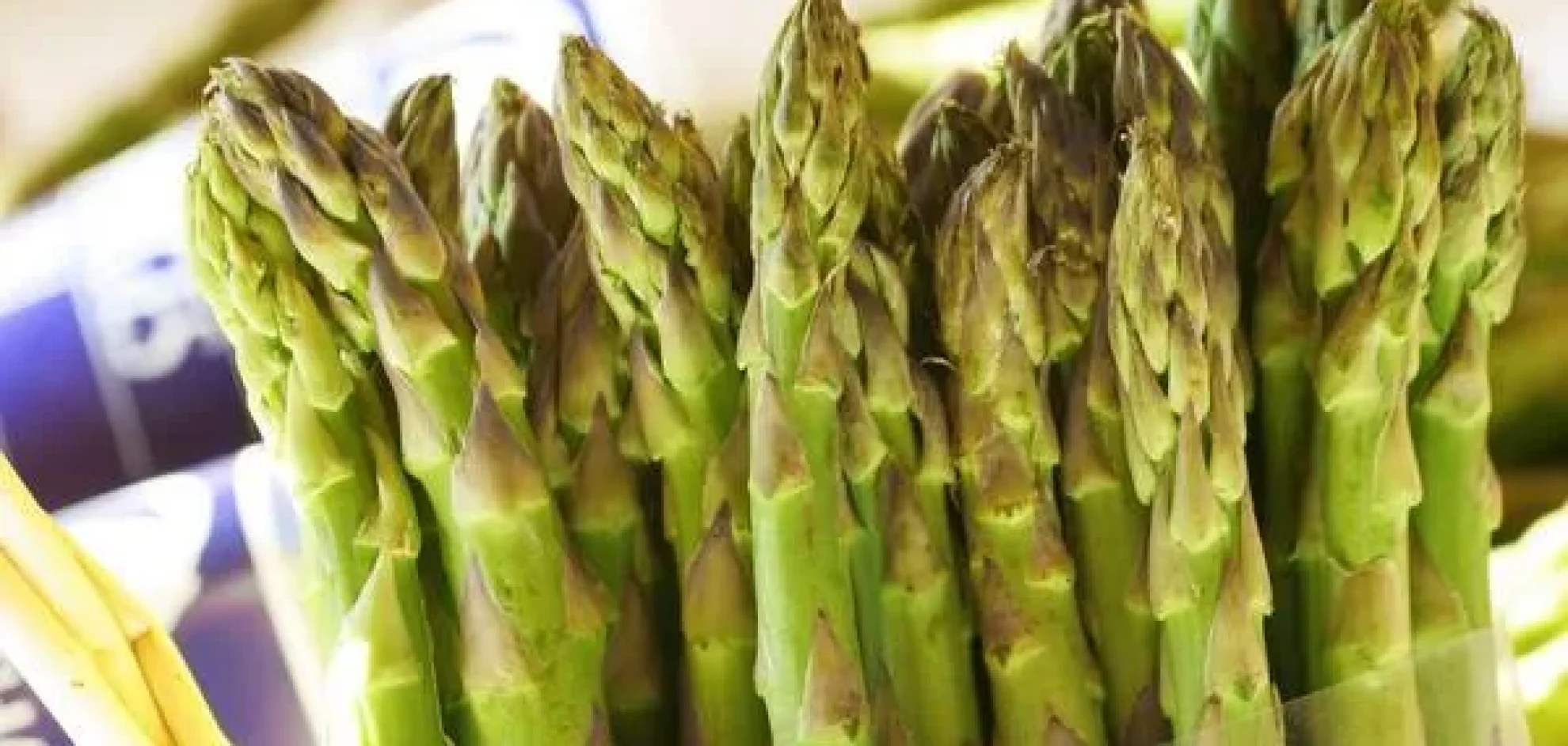 Fête de l’asperge