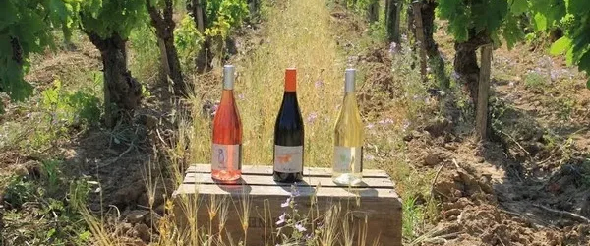 vins bios autour de Carcassonne