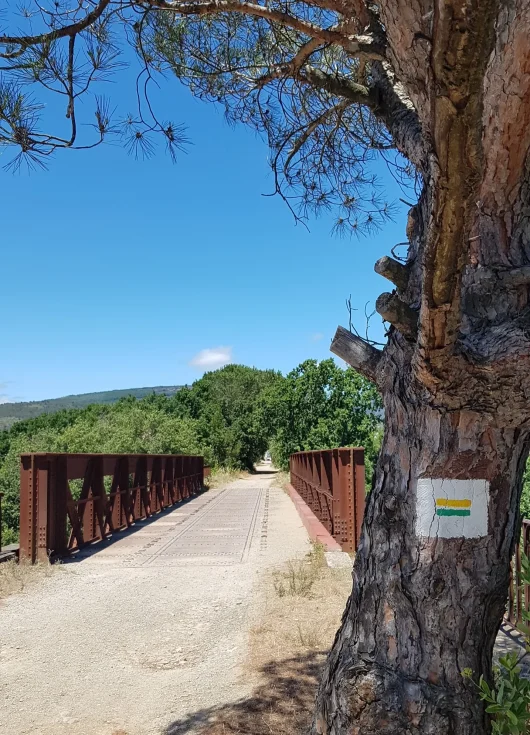 Vélo et VTT