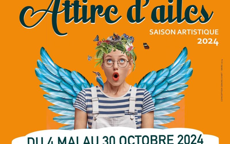 Attire d’ailes